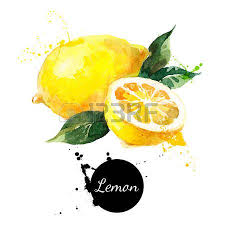 Main Peinture A L Aquarelle Tire Sur Fond Blanc Vector Illustration De Fruits Pomme Illustration De Fruits Dessin Fruits Fruits Aquarelle
