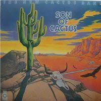 I had heard of cactus back in the 70s. Cactus Sind Bogart Appice Rusty Day