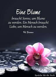 Ein Mensch Braucht Liebe Schenke Sie Dir Selbst Und Anderen Lebensweisheiten Spruche Nachdenkliche Spruche Weisheiten Spruche