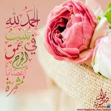 Pin By Amly On Ya Allah يآآرب Ranunculus Flowers Flowers Ranunculus