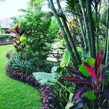 North Queensland Garden Plants Google Search Tropical Landscape Design Tropical Garden Design Tropical Backyard