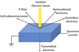 Backscattered electron imaging with an ebsd detector. How To Look Deep Inside Matter Scanning Electron Microscopy Book Chapter Iopscience