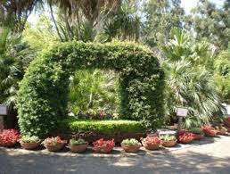 720 likes · 2 talking about this · 22 were here. Le Jardin Exotique De Ponteilla Www Bibimob Fr