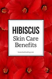 Meet Our Ingredients Organic Hibiscus Flower Extract Natural Skin Care Routine Skin Care Benefits Hibiscus