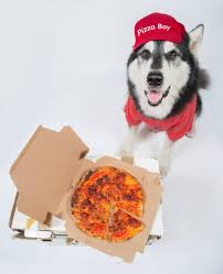 Kelowna orchard plaza pet supply store. Social Pets Pet Supplies Dog Grooming