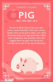 Chinese Horoscope Predictions For Baby In 2019 12 Chinese Zodiac Signs Chinese Zodiac Signs Chinese Astrology