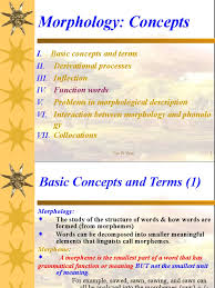 Neither the number of syllables nor the length of a word can indicate what is a morpheme and what isn't. Morphology Concepts Morphology Linguistics Word