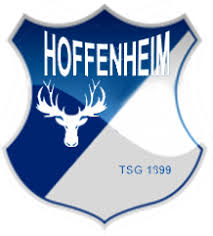 Tsg Hoffenheim Futbol Soccer Soccer Futbol