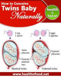 How To Conceive Twins Baby Increase Your Chances Of Having Twins How To Conceive How To Conceive Twins Getting Pregnant With Twins
