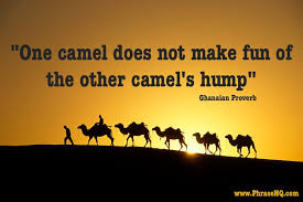 Humps give camels their legendary ability to travel up to 100 desert miles without water. Pin On Amazing Quotes That Are True