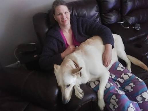 Dogs show affection by resting their head on their favorite person's lap