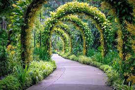Taman ini cocok banget buat piknik, joging, dan melihat koleksi tanamannya. 5 Kebun Bunga Dan Taman Botani Di Singapura Yang Harus Kamu Kunjungi