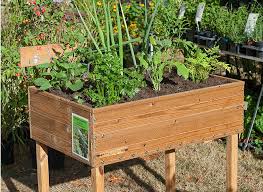 Retrouvez tous nos conseils pour créer un véritable jardin aromatique sur votre balcon : Potager Au Balcon Conseils D Entretien Pour L Ete