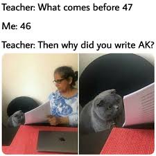 She moved to florence, the birth city of renaissance, which resembles a museum under the sky, after falling in love with her boyfriend dario on her first solo trip two years ago. What Comes Before 47 46 Then Why Did You Write Ak Meme Memezila Com