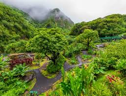 Image result for Dark Forest Green 1986 Fleet