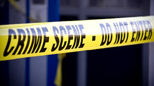 Trois tortues à tristes têtes trottaient sur trois toits très étroits. Un Meurtrier Sous Mon Toit S03e16 Bataille Pour Sauver Son Fils Documentaire Programme Tv Replay