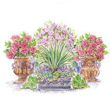 Classic Container Garden Plan Garden Planning Garden Containers Container Gardening