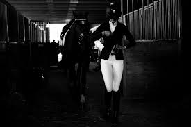 The Road to 2023 US Dressage Finals, as told by Notre Dame Z