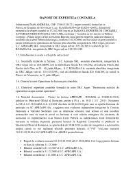 Raportul de aspect nu este doar o cifră a dimensiunii. Doc Raport De Expertiza Contabila Costica Nan Academia Edu