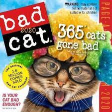 Free shipping on orders over $25.00. 2020 Bad Cat Colour Page A Day Calendar Workman Calendars Book Buy Now At Mighty Ape Nz