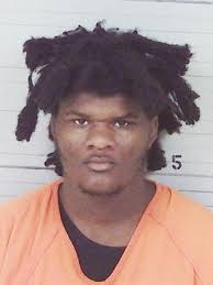 Traffic stop leads to seizure of drugs, guns and money