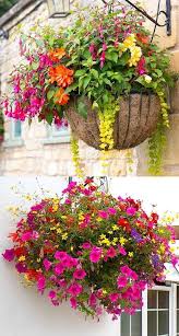 How To Plant Beautiful Hanging Baskets That Last For Months Choose The Best Plants From T Hanging Plants Outdoor Hanging Plants Diy Plants For Hanging Baskets