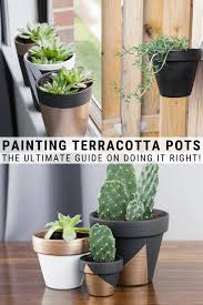 Painting terracotta pots with a glow in the dark paint, and lining them up with steps. How To Paint Terracotta Pots The Best Paint For Terracotta Pots Plant Pot Diy Painted Terracotta Pots Terracotta Pots