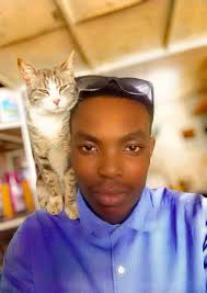 Cute Cat Silver's Climbing Adventures and Health Concerns