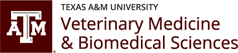 Home Texas A M College Of Veterinary Medicine Biomedical