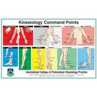 Kinesiology Charts