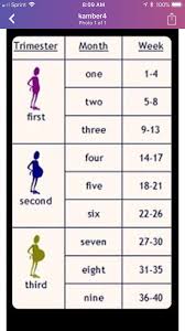 If you're 22 weeks pregnant, you're in month 5 of your pregnancy. At 17 Weeks How Many Months Are You