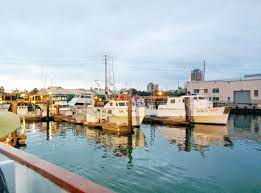 4,401 likes · 56 talking about this · 2,000 were here. Long Beach Sportfishing At Berth 55 Western Outdoor News