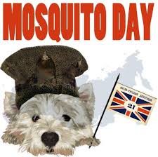 20 de agosto que se celebra. 20 De Agosto Dia Del Mosquito