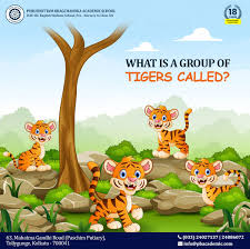 The national animal of india is the bengal tiger. Purushottam Bhagchandka Academic School On Twitter Tiger Is The National Animal Of India Let Answer The Question In The Comments Below Stay At Home Play At Home Pbas Schoolthatcare Besticseschool Southkolkata Bestmontessorischool