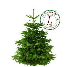 Mit dieser hilfe können sie sich für den passenden weihnachtsbaum entscheiden. Weihnachtsbaum Nordmanntanne L 150 175cm