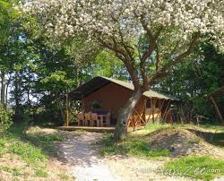Sea Lodge Egmond Vakantiehuizen Nederland Aan Zee Glamping Camping Strandhuisjes Nederland Overnachten