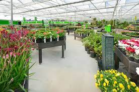 Palmers Albany Palmers Garden Centre Www Palmers Co Nz