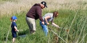 Pond Dipping Session 2 of 2 - Marton Mere...