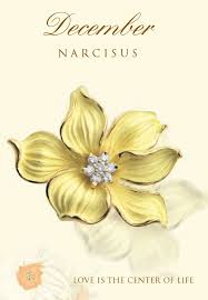 Narcissus Birth Flower Pendant Birth Flower Tattoos Birth Flowers December Birth Flower