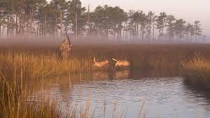 15 Top Places To Go Hunting And Fishing In Maryland Visit