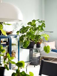 Give Your Plants A Proper Home Glasschrankturen Pflanzentisch Zimmerpflanzen Ideen