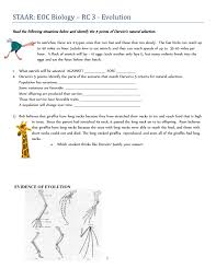 It doesn't seem to be changing much. Darwin S Natural Selection Worksheet Bioeoc