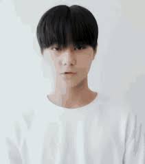 Kim Daniel Daniel Iland GIF