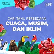 Dari dua perbedaan mendasar tersebut dapat disimpulkan perbedaan cuaca dan iklim, sebagai berikut Ruangguru Mengenal Perbedaan Cuaca Iklim Dan Musim Facebook