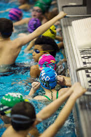 Check spelling or type a new query. Clifton Park Halfmoon Piranhas Meets Events