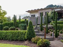 Nach dem bundeskleingartengesetz (bkleing) sind nachfolgende bäume, sträucher und koniferen in einem kleingarten nicht erlaubt. Wann Sind Saulenzypressen Winterhart Standort Pflege Und Gestaltung