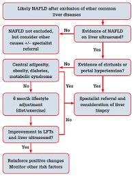 racgp fatty liver disease a practical guide for gps