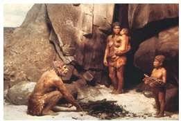 Clothing of Neanderthal Man | Download Scientific Diagram