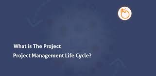 Easily plan projects and collaborate from virtually anywhere with the right tools for project managers, project teams, and decision makers. Project Management Life Cycle Project Management Tutorial Orangescrum