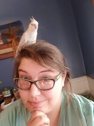 Cockatiel laying eggs without a mate